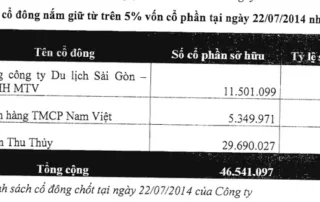 Danh sách cổ đông nắm giữ trên 5% vốn cổ phần của CTCP Đô Thị Du Lịch Cần Giờ ngày 22/07/2014.